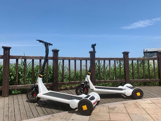 6h Charging 30kms Self Balancing Electric Scooter