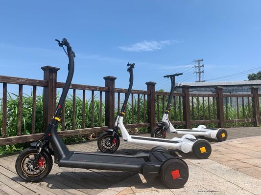 6h Charging 30kms Self Balancing Electric Scooter