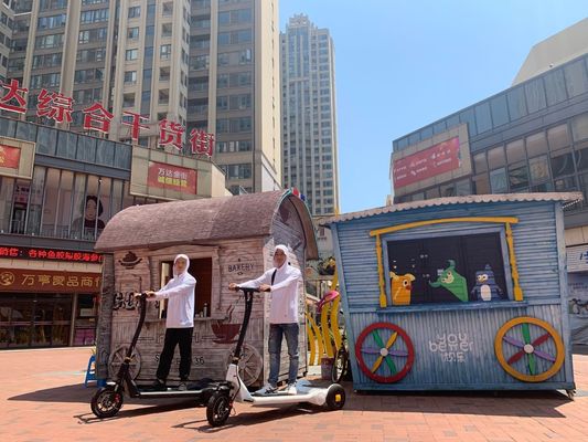 36V Lithium Battery Alu Alloy Foldable 3 Wheel Scooter