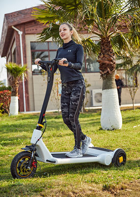 Foldable 250W 30km Waterproof Electric Scooter