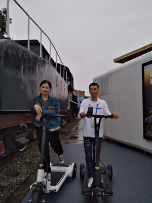 45Km 3 Wheel E Scooter