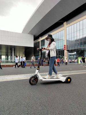 30KG Electric E Scooter