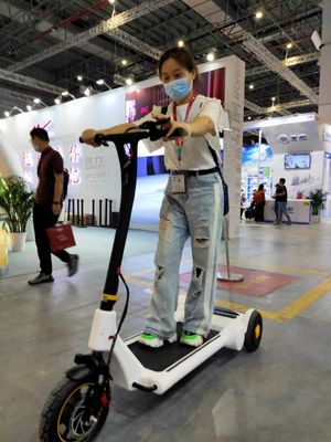 30KG Electric E Scooter