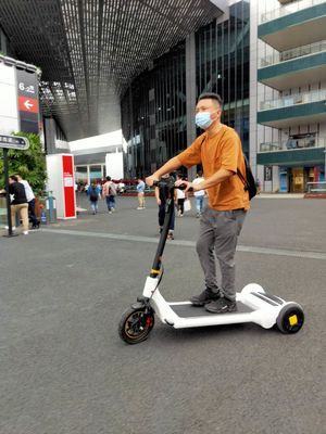 30KG Electric E Scooter