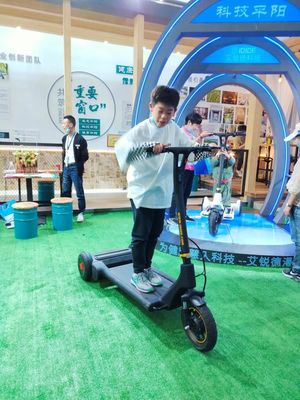 25km/H 2 Wheel Self Balancing Electric Scooter With Handle