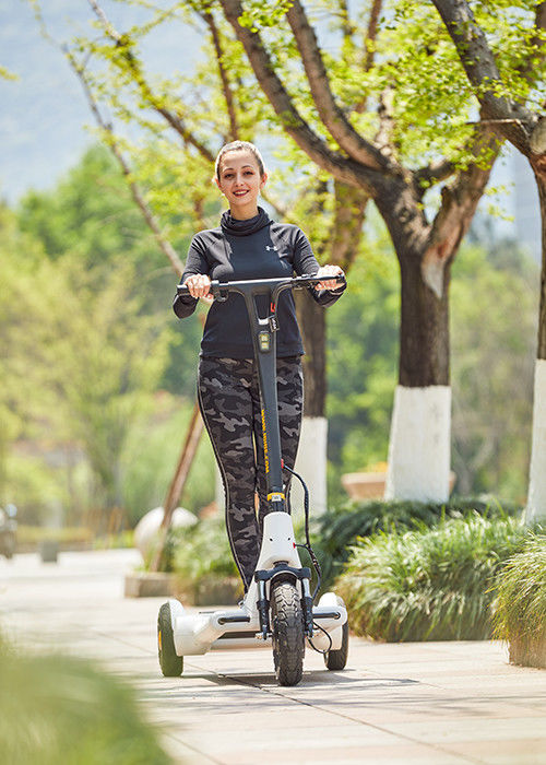 2020year new style electrify scooter , speed control by feet , handle control , DC brushless hub motor
