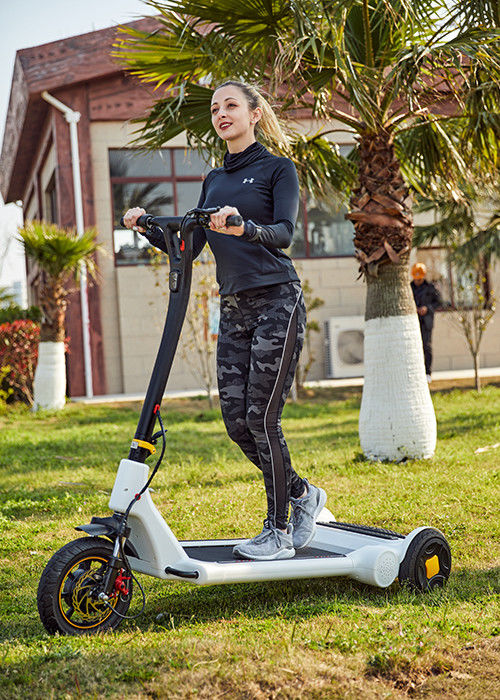 Foldable 250W 30km Waterproof Electric Scooter