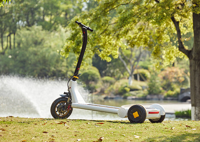 DC Brushless Hub Motor Three Wheel Electric Scooter